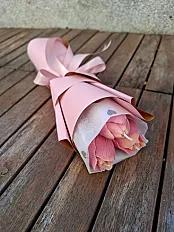 Tulipan — minijatura 1