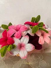 Lilly korpica — minijatura 1