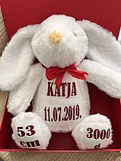 Personalizirani plišanac s podacima — minijatura 1