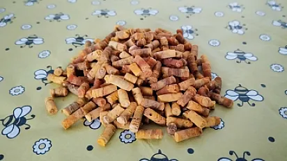 Perga (pčelinji hljeb) — minijatura 1