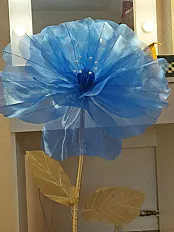 Organdin cvjet — minijatura 2