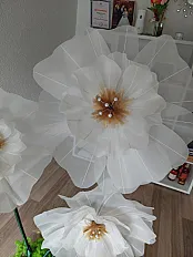 Šampanj organdin cvjet — minijatura 5