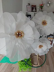 Šampanj organdin cvjet — minijatura 3