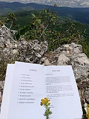 Mama, želim saznati tvoju priču- Spomenar — minijatura 4