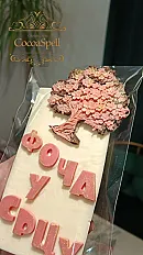 Personalizovana čokolada - gradovi- Foča — thumbnail 3