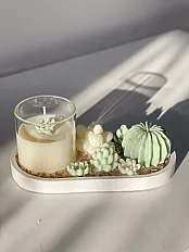Sukulenti zeleni set — minijatura 2