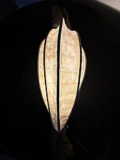 Kapibara - svetlosna skulptura — minijatura 7