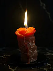 Mirisna ruža — minijatura 2
