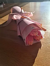 Tulipan — minijatura 6