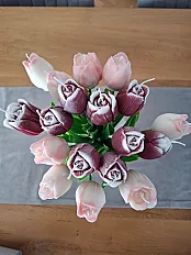 Tulipan — minijatura 2