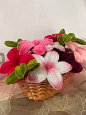 Lilly korpica — minijatura 3