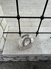 Prljavo bijelo-srebrena biserna torbica — minijatura 3