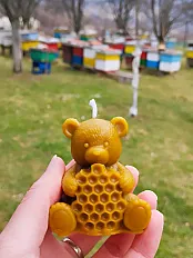 Svijeća medo — minijatura 2
