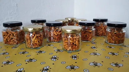 Perga (pčelinji hljeb) — minijatura 2
